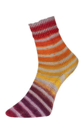 WOOLLY HUGS Paint Socks