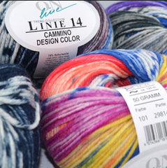 OnLine 14 Cammino Color