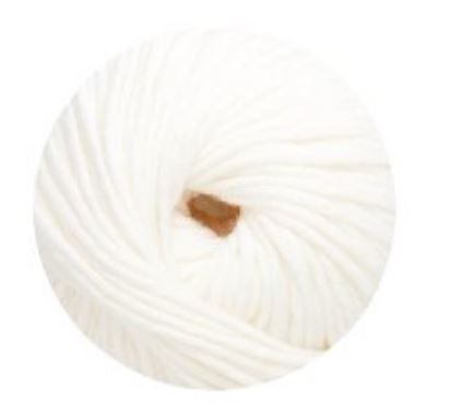 Linie 55 Montego 0001