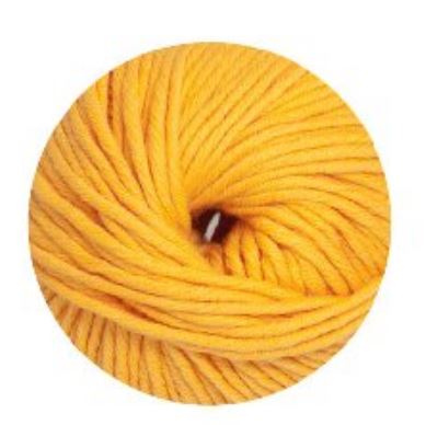 Linie 55 Montego 0003