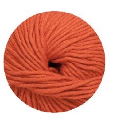 Linie 55 Montego 0006