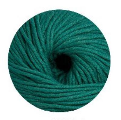 Linie 55 Montego 0031