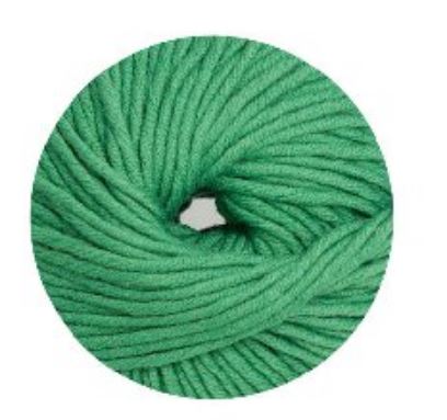 Linie 55 Montego 0036