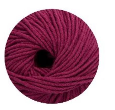 Linie 55 Montego 0042