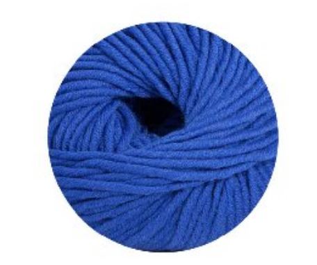 Linie 55 Montego 0043