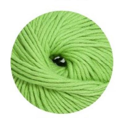 Linie 55 Montego 0052