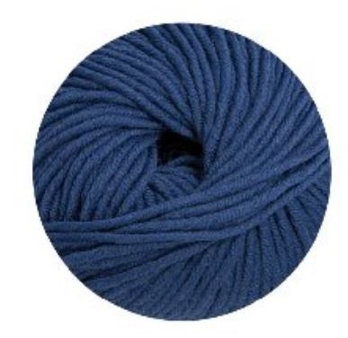 Linie 55 Montego 0053