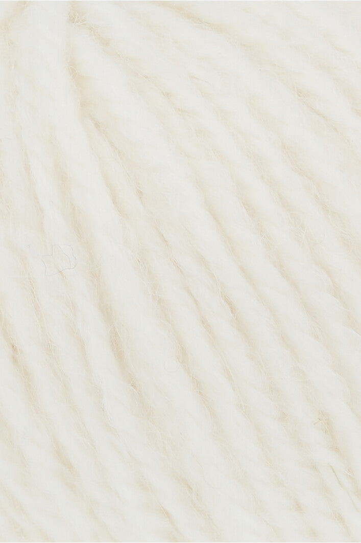 Wooladdicts EARTH 1004.0094