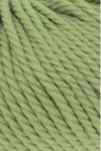 Wooladdicts Glory 1061.0117