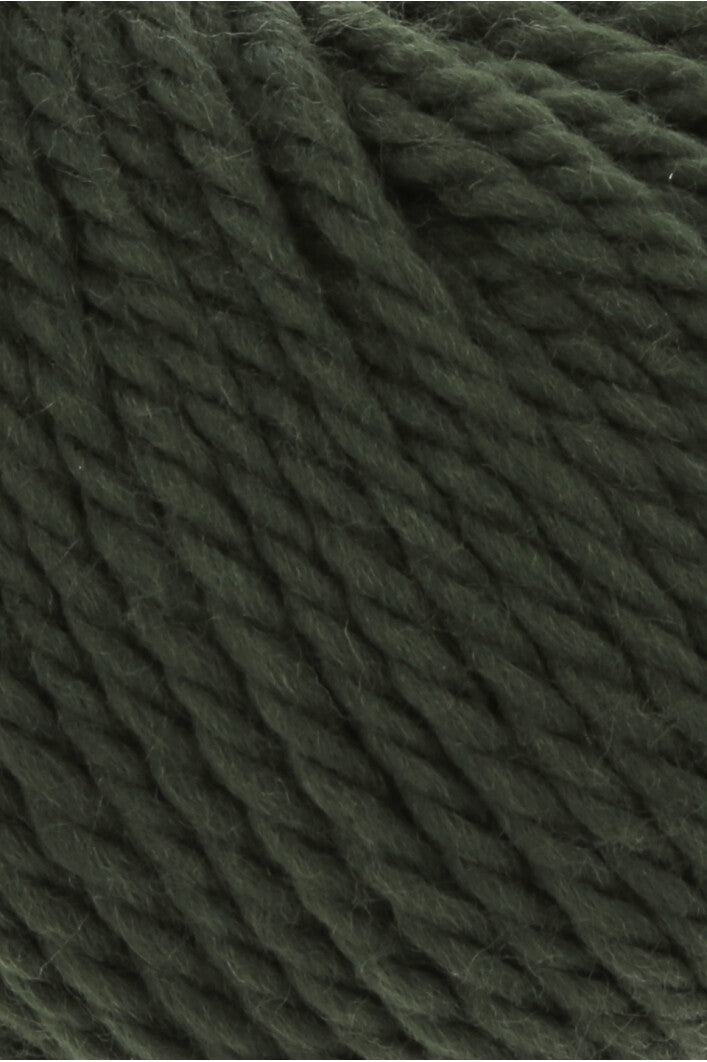 Wooladdicts Glory 1061.0218