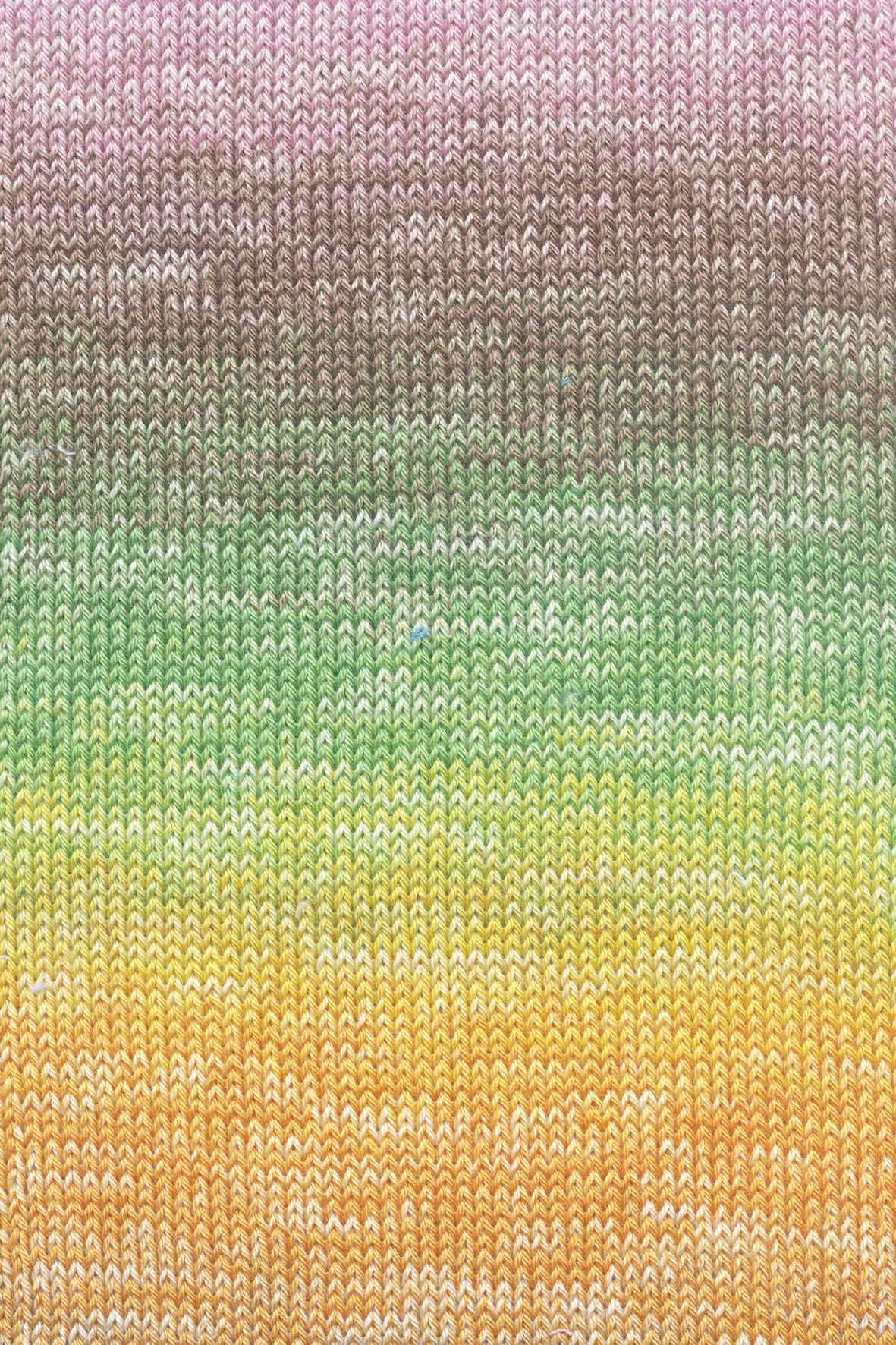 Lang Quattro Dègrade 1088.0014