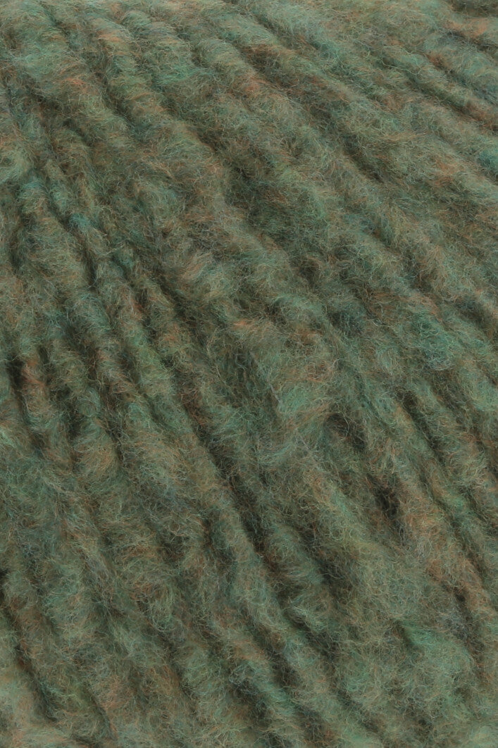 Lang Phoenix 1107.0117