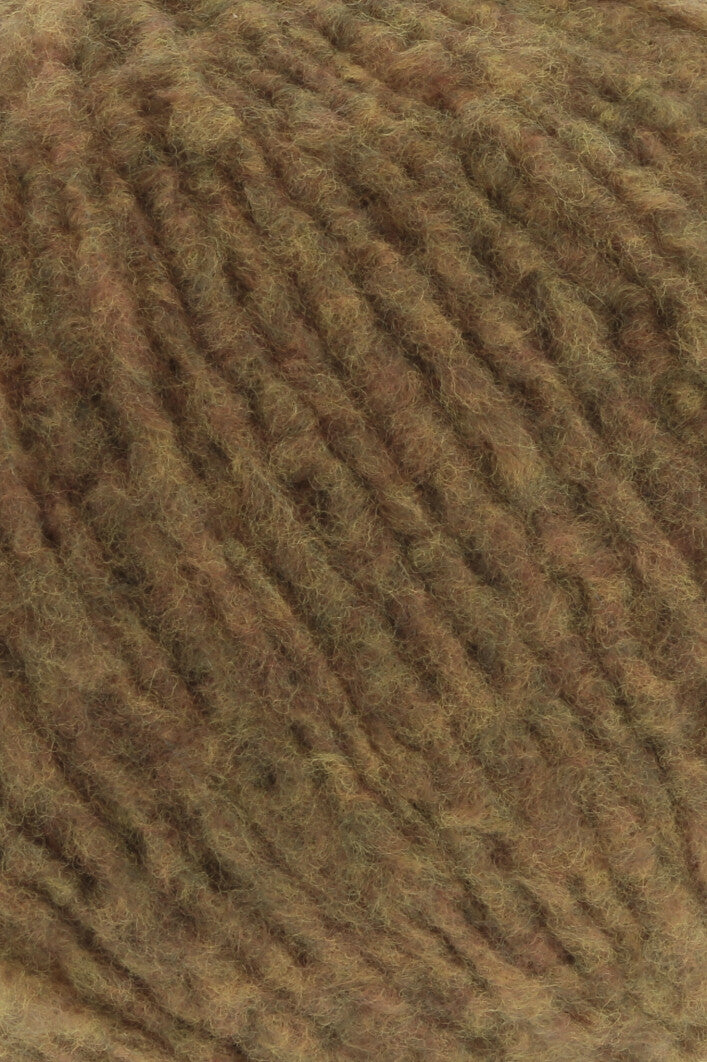 Lang Phoenix 1107.0139