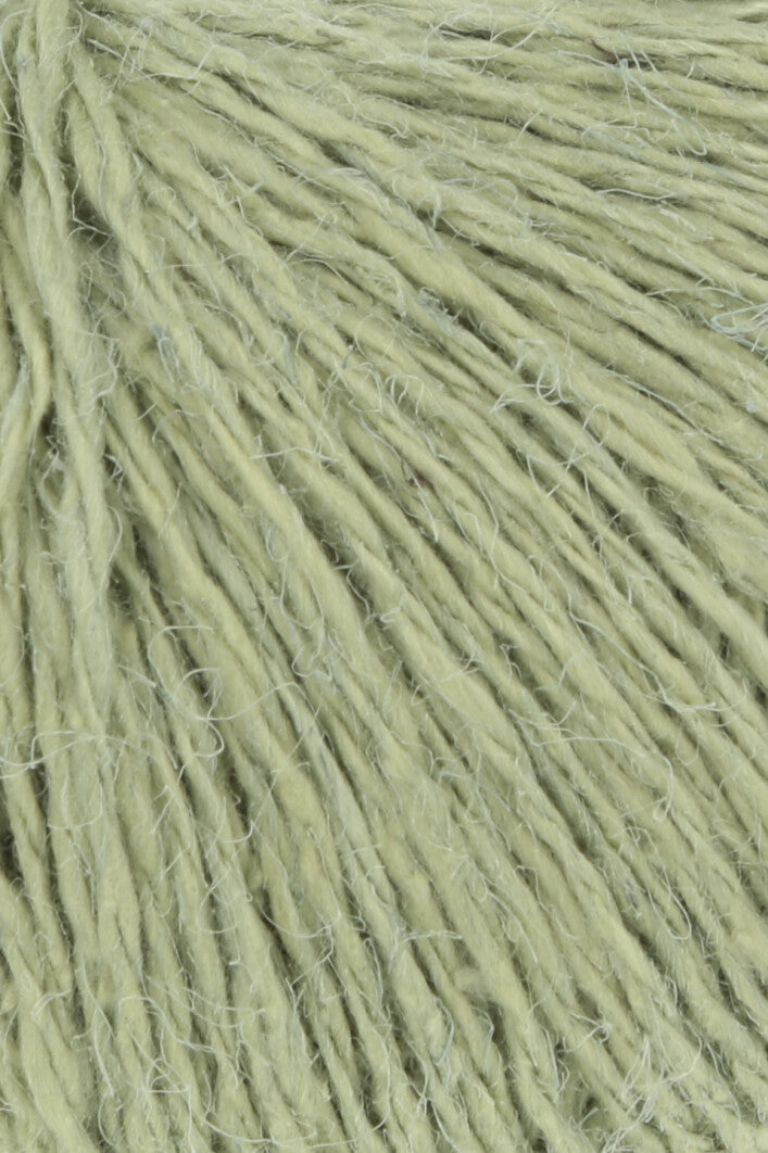 Lang Ananas 1159.0016