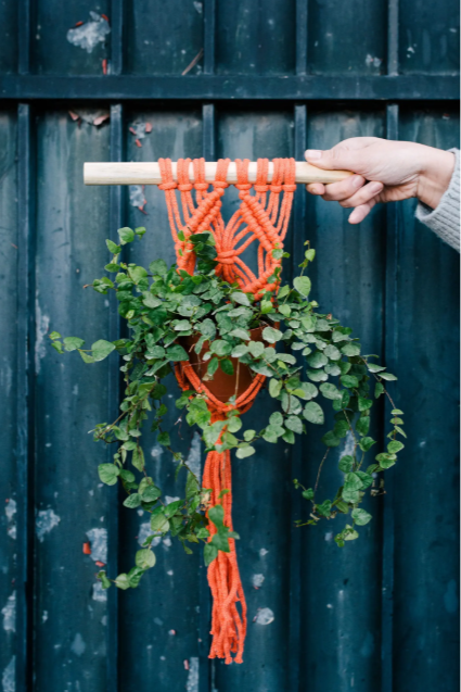 DMC Buch Eco Vita 15730