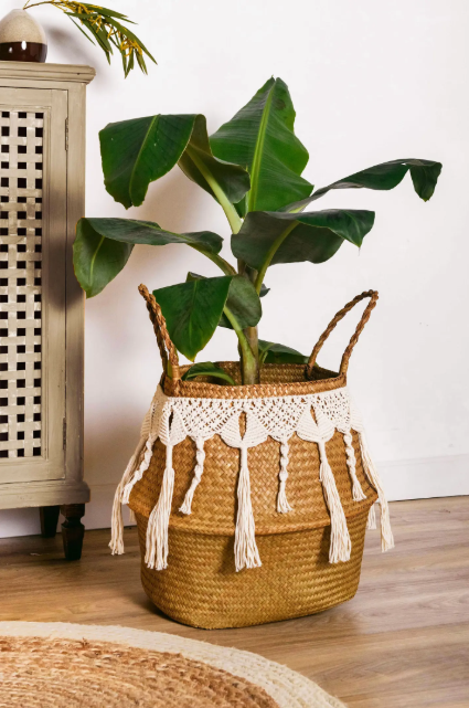 DMC Buch Nova Vita 4 15771