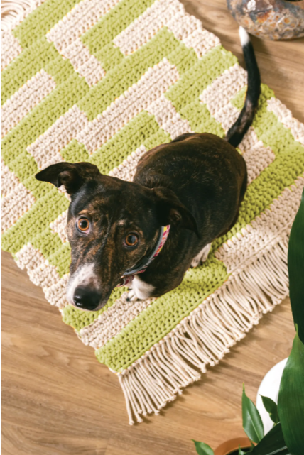 DMC Buch Nova Vita 12 15835