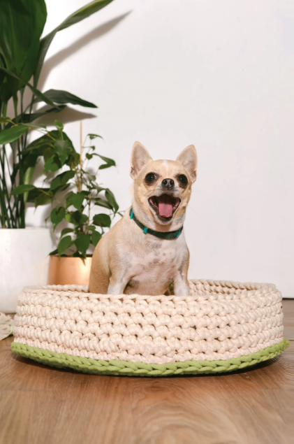 DMC Buch Nova Vita 12 15835