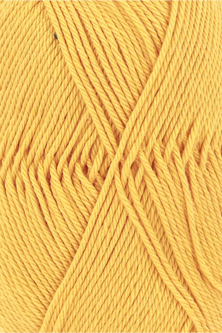 Lang Quattro 16.0059