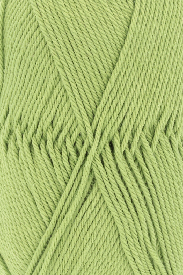 Lang Quattro 16.0116