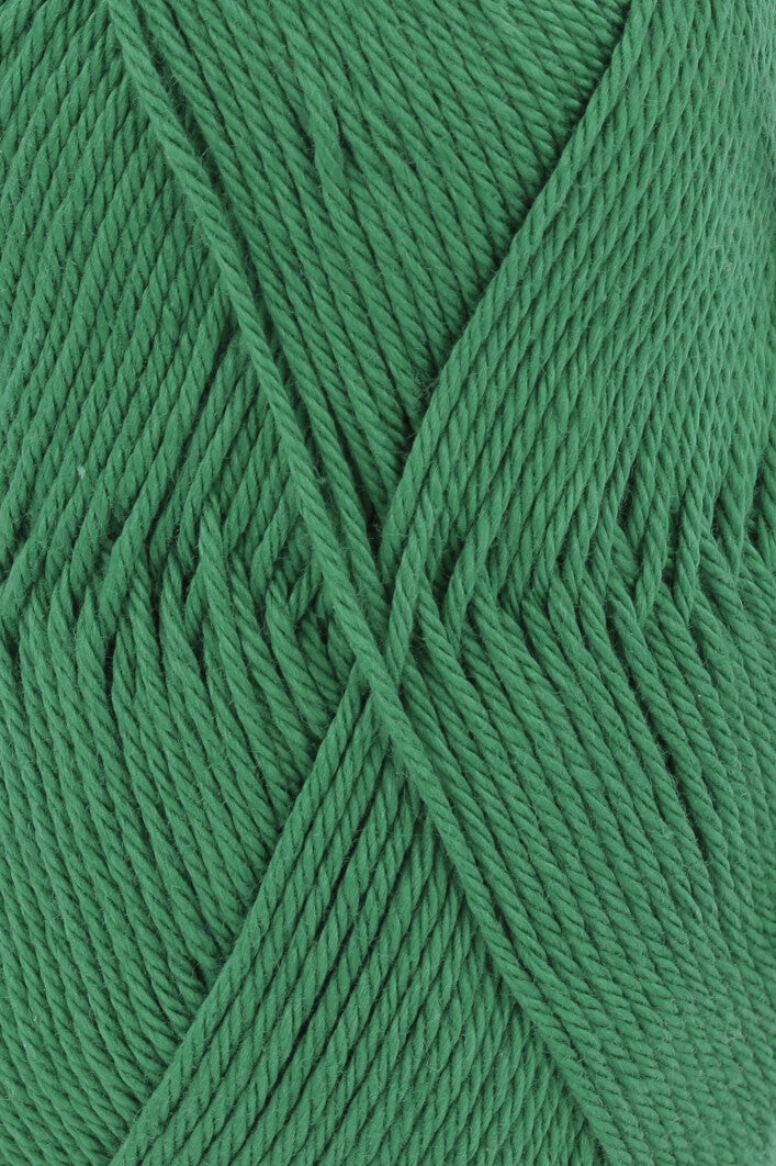 Lang Quattro 16.0118