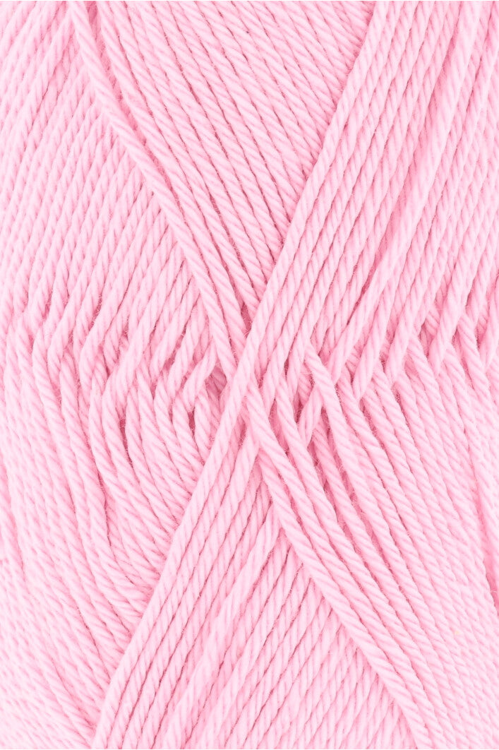 Lang Quattro 16.0119