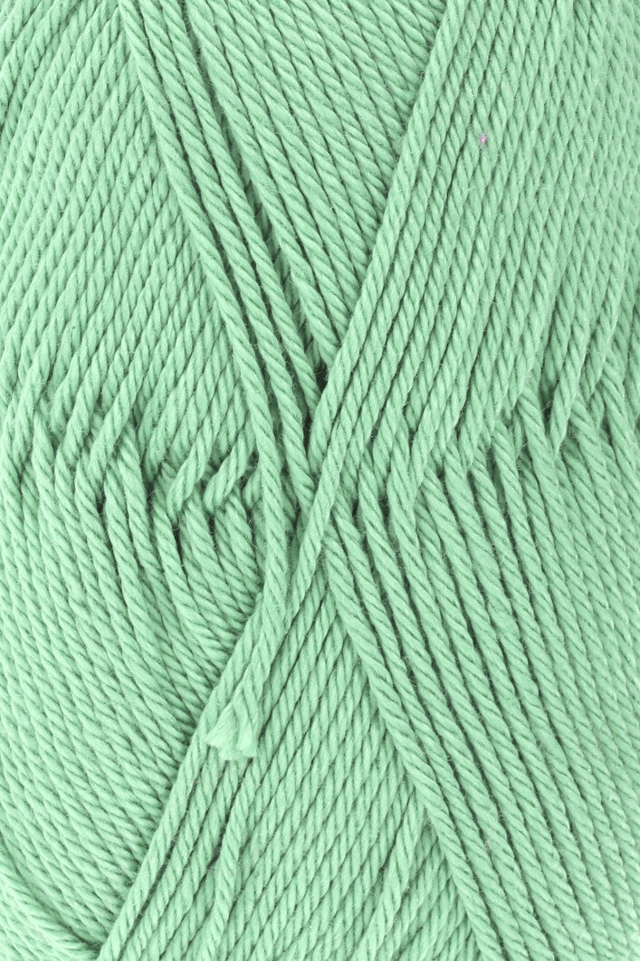 Lang Quattro 16.0217