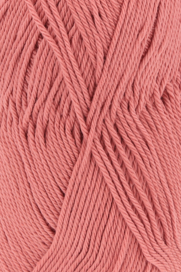 Lang Quattro 16.0309