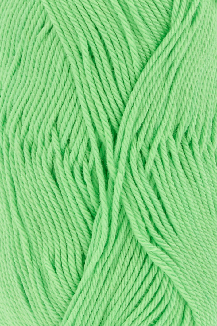 Lang Quattro 16.0317