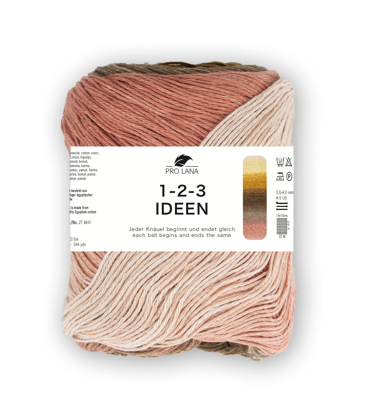 Pro Lana 1-2-3 Ideen 278441.0011 BEIGE/BRAUN 100 gr