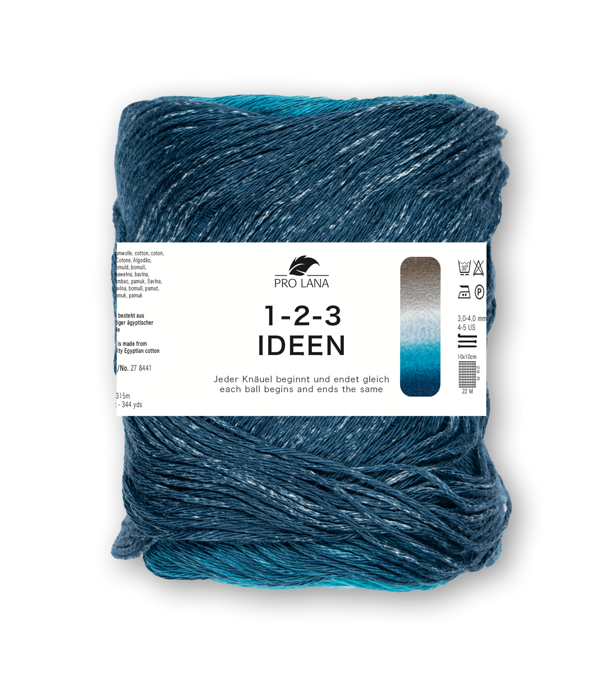 Pro Lana 1-2-3 Ideen 278441.0031 PETROL/BEIGE 100 gr