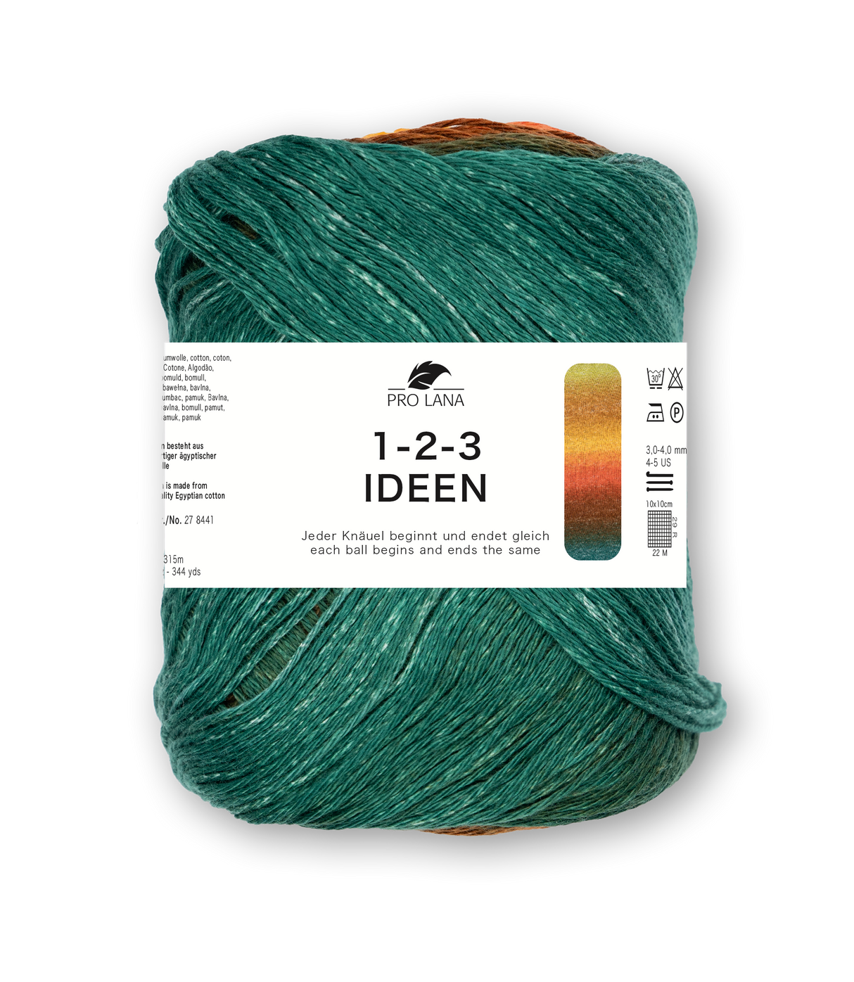 Pro Lana 1-2-3 Ideen 278441.0032 ORANGE/GRUEN 100 gr