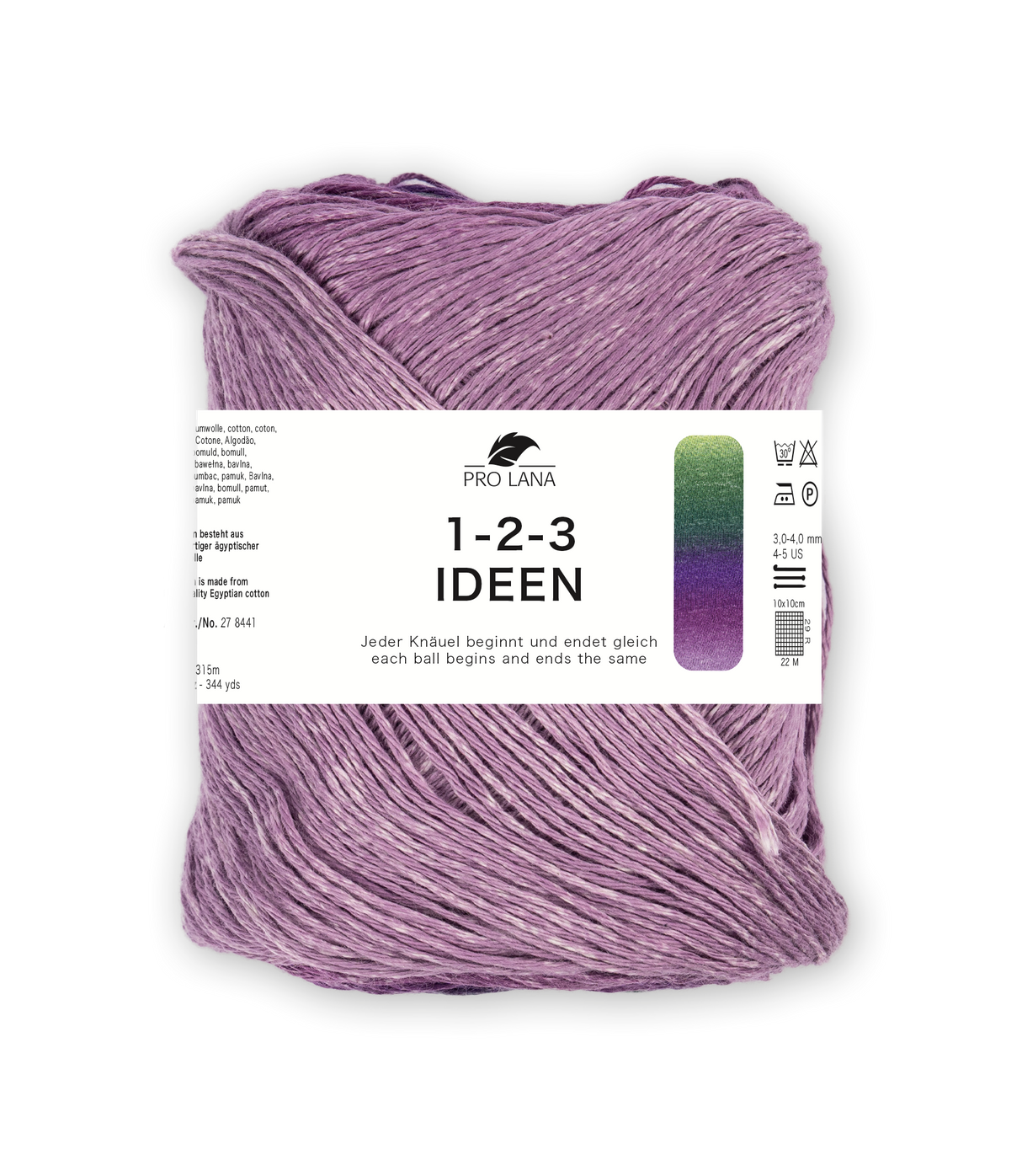Pro Lana 1-2-3 Ideen 278441.0035 GRUEN/LILA 100 gr