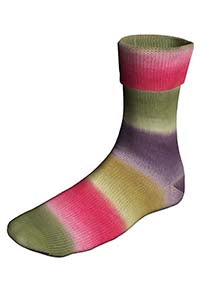 Lang Super Soxx Color 4-Fach 901.0509