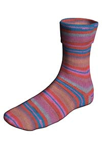 Lang Super Soxx Color 4-Fach 901.0521