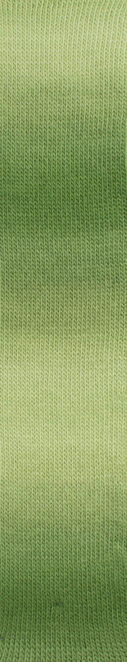 Woolly Hugs Year Socks 0005