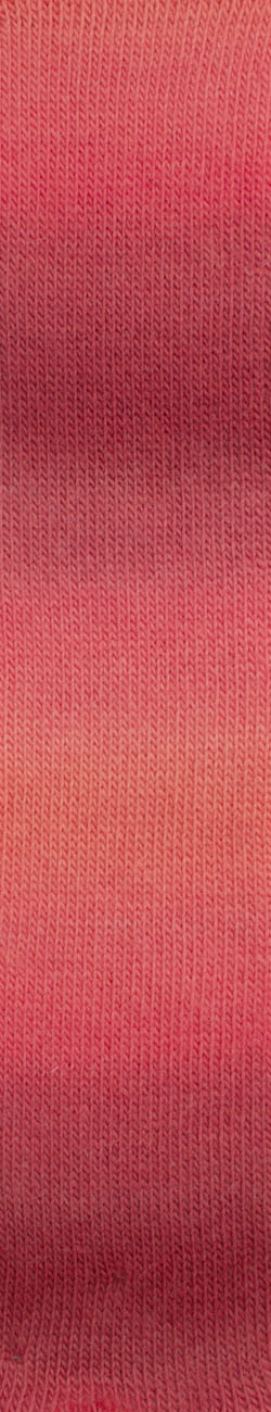 Woolly Hugs Year Socks 0010