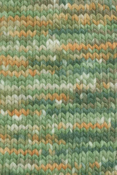 Lang Bold Color 1098.0001