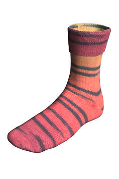 Lang Jawoll Twinn 82.0512