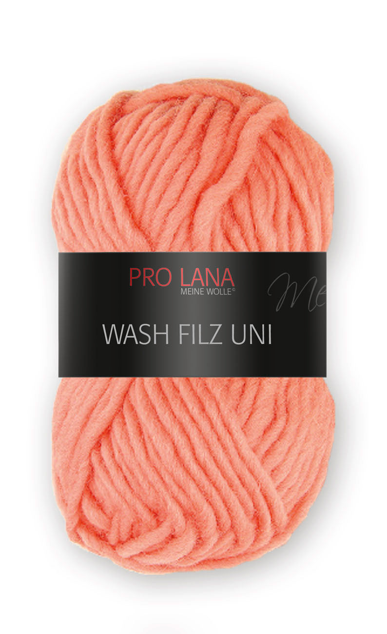 PRO LANA Wash and Filz