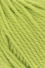 Wooladdicts Glory 1061.0116
