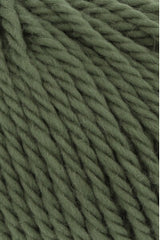 Wooladdicts Glory 1061.0118