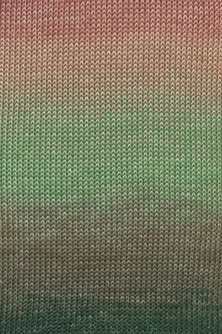 Lang Quattro Dègrade  1088.0008
