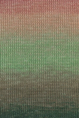 Lang Quattro Dègrade  1088.0008