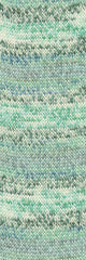 Wooladdicts  Footprints  1115.0013