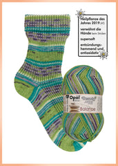 OPAL Beauty Balance 4-fach 11404
