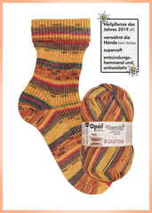 OPAL Beauty Balance 4-fach 11405