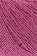 Lang Oceania 1142.0061