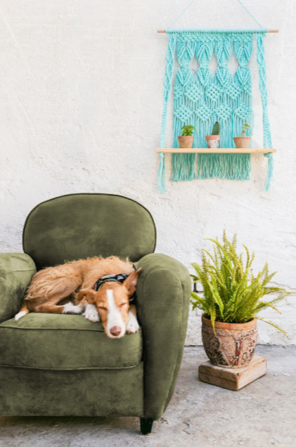 DMC Buch Nova Vita 15754