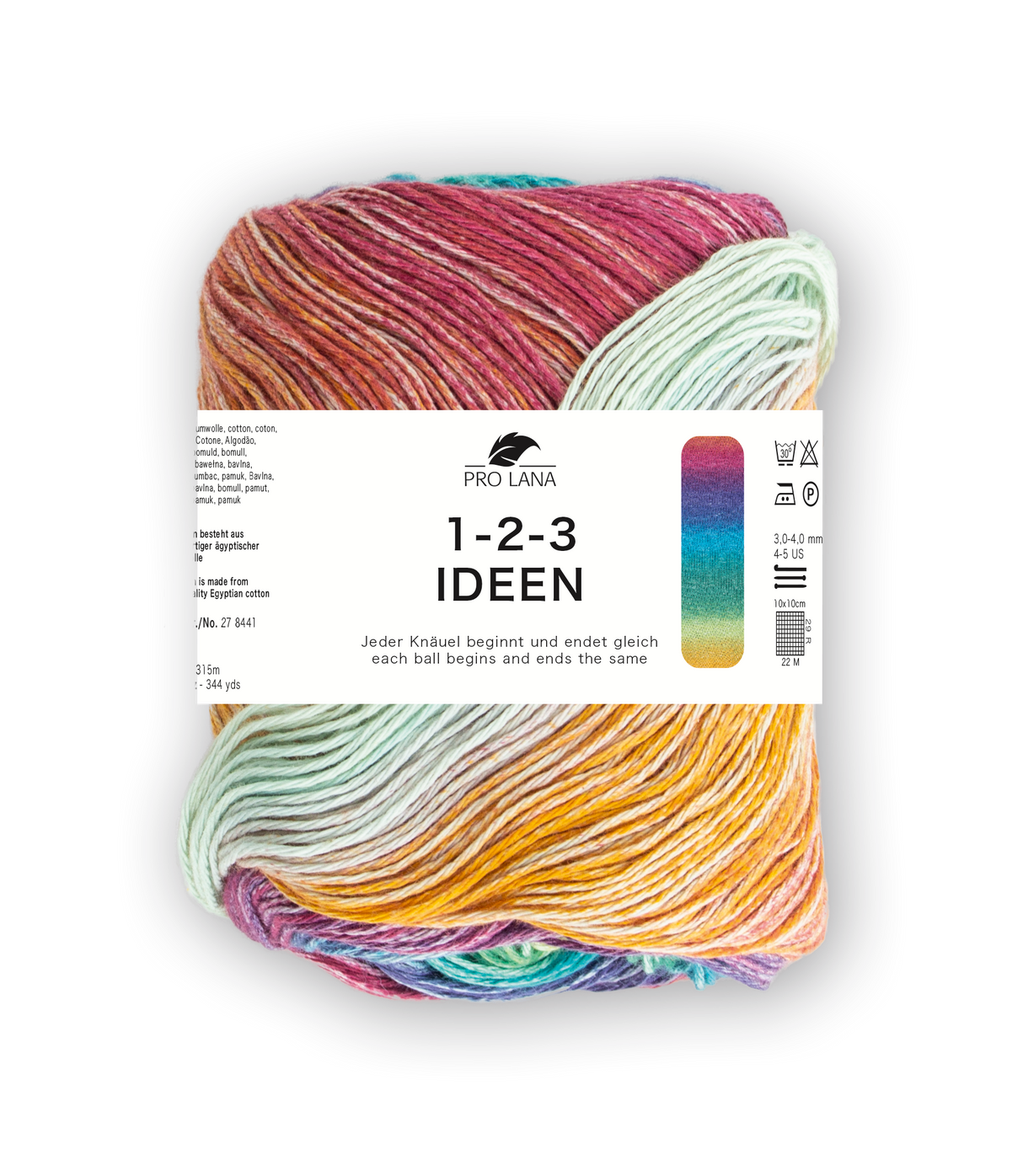 Pro Lana 1-2-3 Ideen 278441.0007 RAINBOW 100 gr
